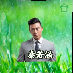秦若涵
